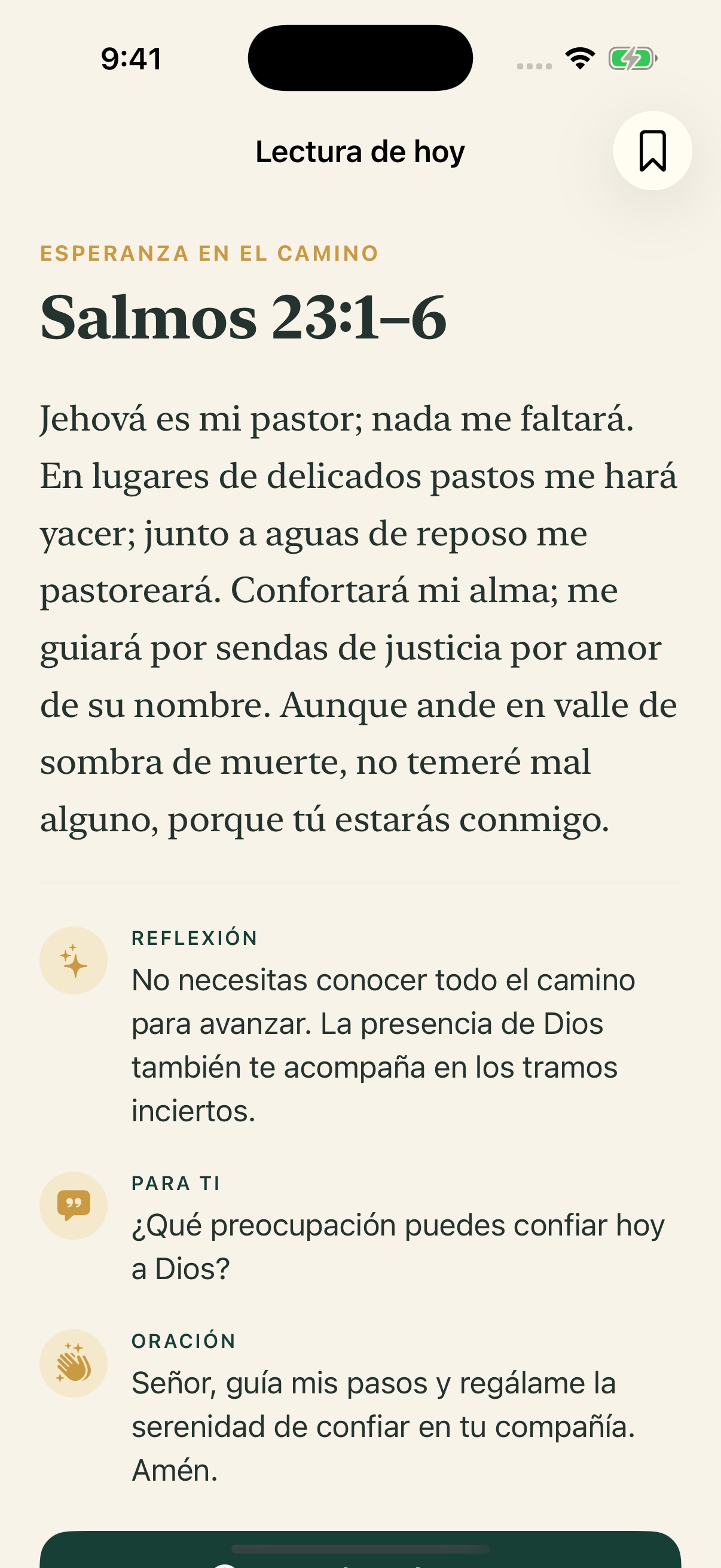 Pasaje Diario screenshot 3