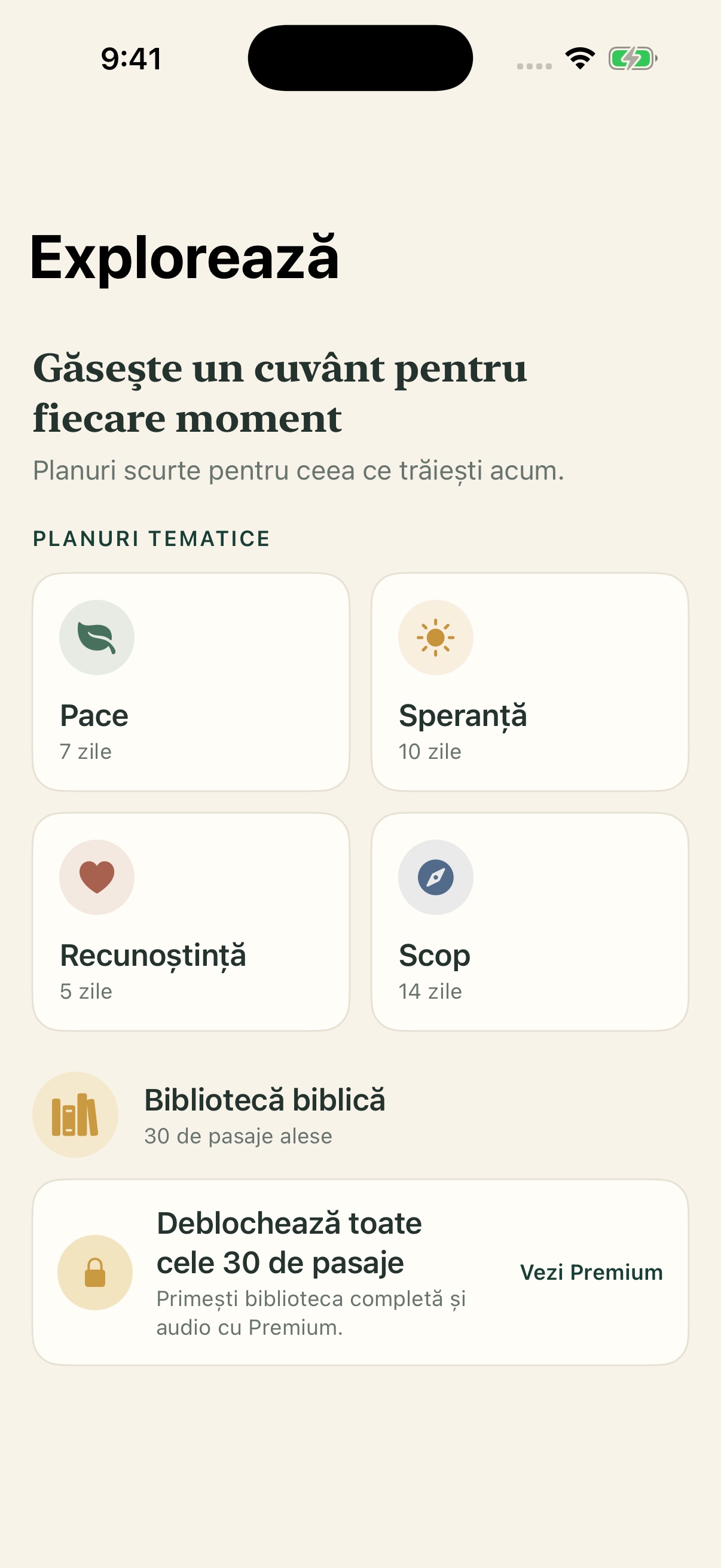 Pasajul Zilei screenshot 1